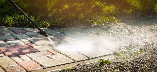 Best Building Exterior Washing  in Westchase, FL